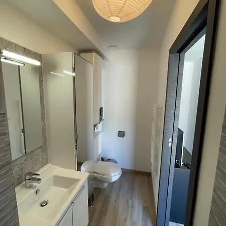 Apartment T2 Climatise Avec Jardin *